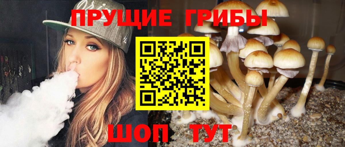 Галлюциногенные грибы прущие грибы Ишим